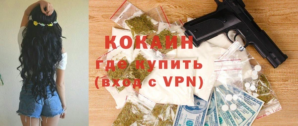 прущий лед Бородино