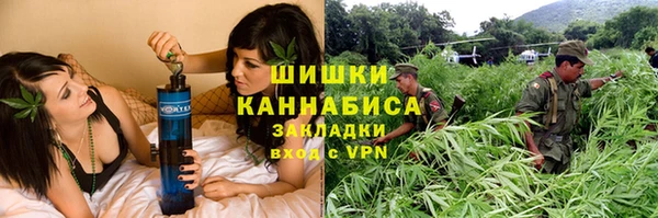 прущий лед Бородино