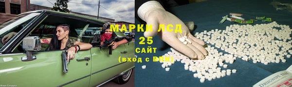 прущий лед Бородино