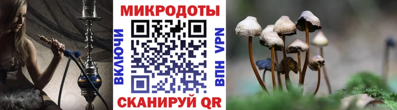 Псилоцибиновые грибы MAGIC MUSHROOMS  Купить  Новосибирск 
